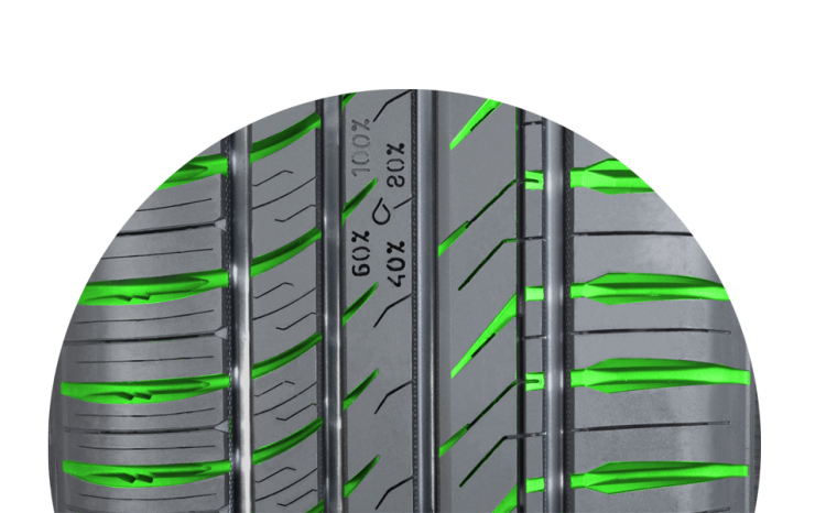 Polished-Lateral_grooves