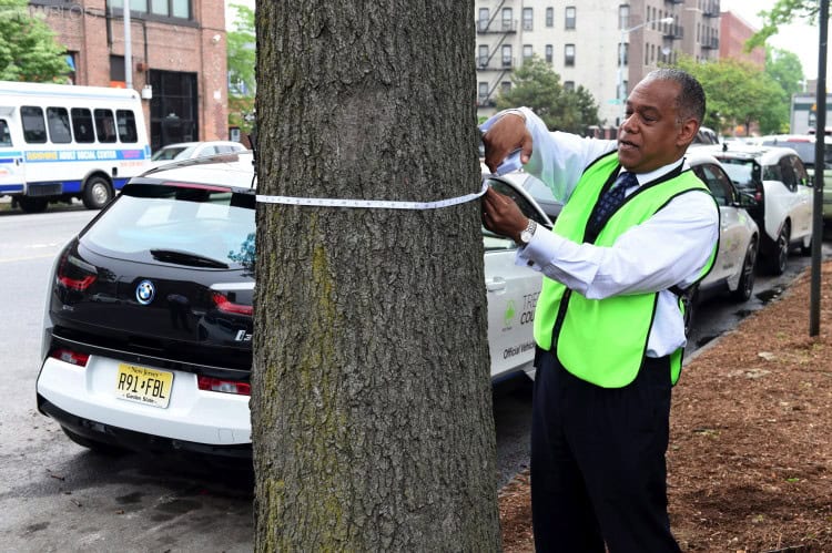 bmw-i3-trees-count-images-10