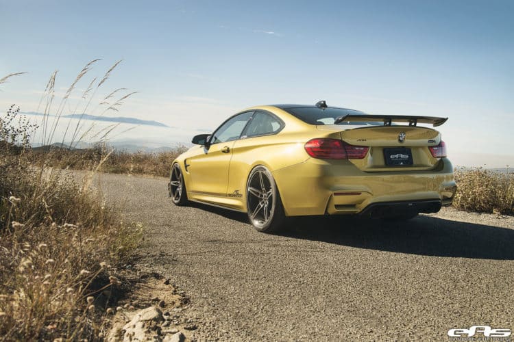 C Schnitzer ACS4 build by European Auto Source-16