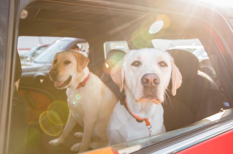 MINI-Takes-the-States-201615