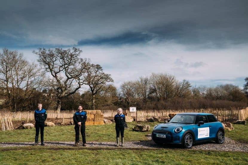 MINI UK announces support for Tiny Forest initiative