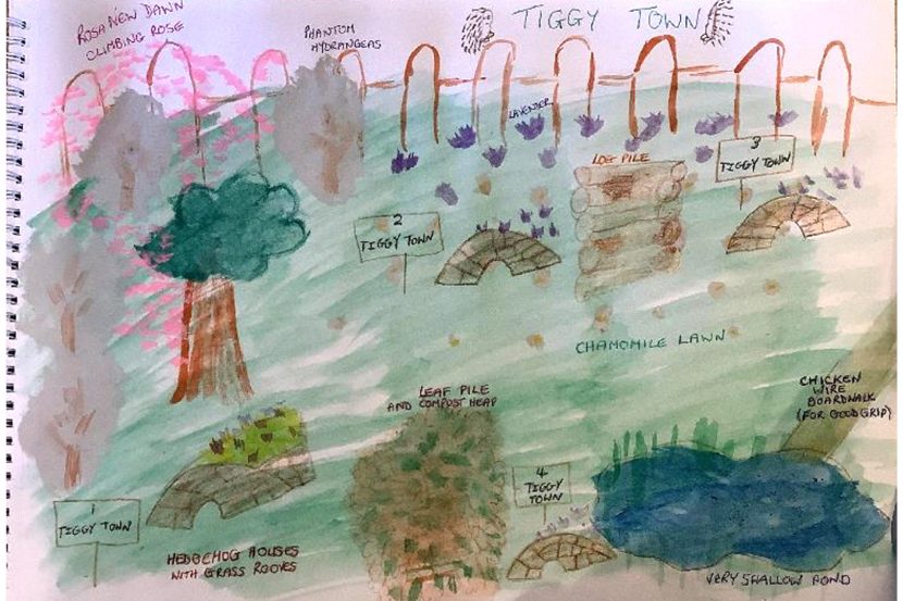 Rolls-Royce Wildlife Garden design contest winner announced