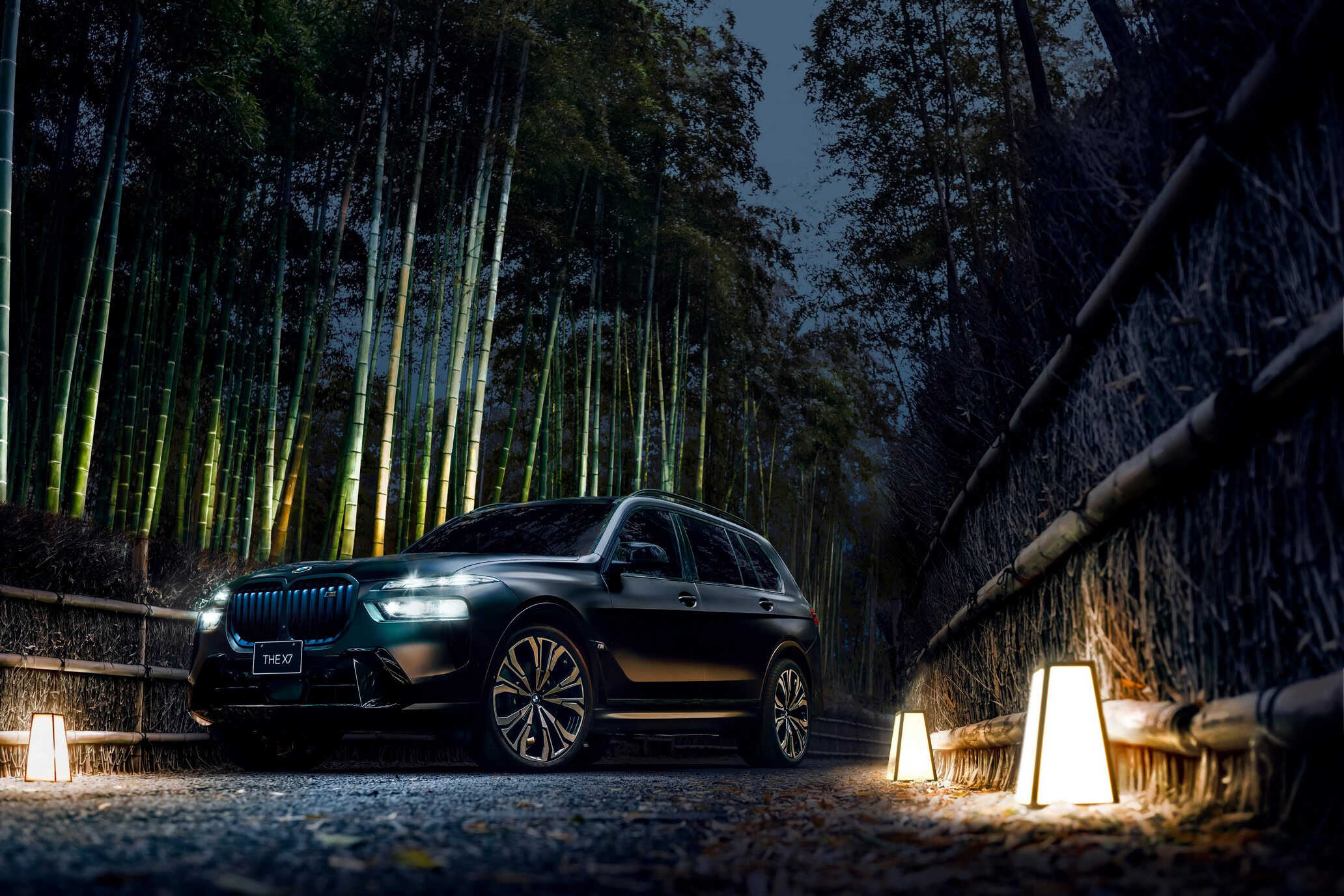 BMW X7 BLACK α SPECIAL EDITION 3