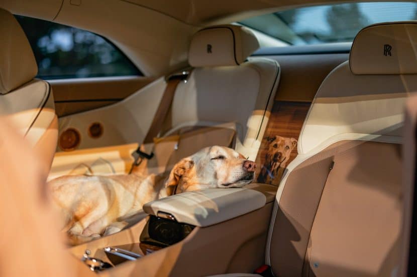 The Rolls-Royce Spectre Bailey Is A Tribute To A Man’s Best Friend