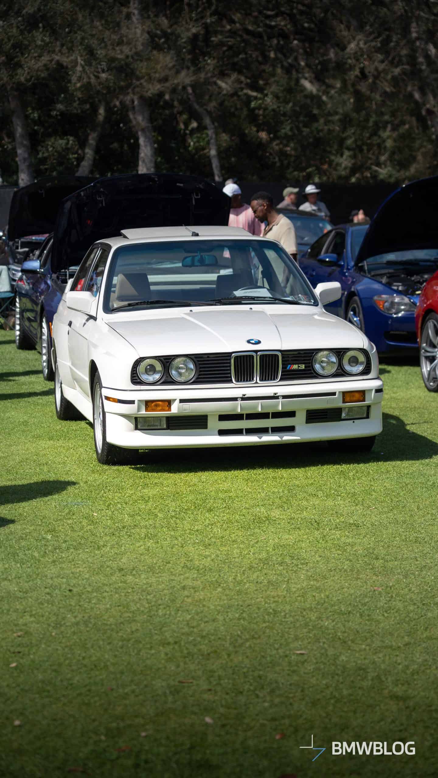 BMW AMELIA ISLAND CARS 17
