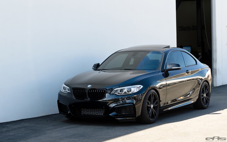 Clean Blacked Out BMW M235i Build