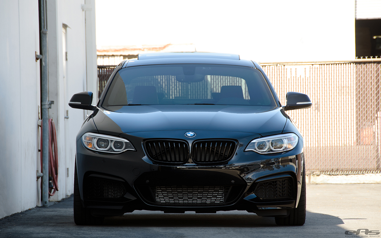 Clean Blacked Out BMW M235i Build